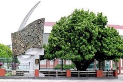 TIẾT HỌC GIÁO DỤC ĐỊA PHƯƠNG LỚP 3